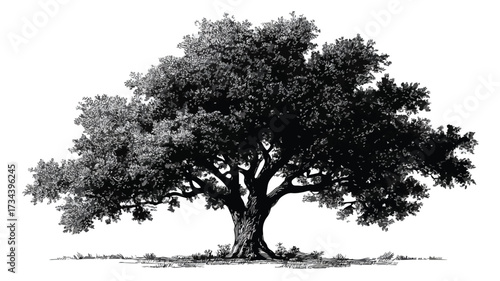 Unique Tree Design with Innovative Concept for Creative Projects