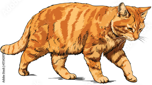 Adorable Ginger Cat Playing Vector Illustration