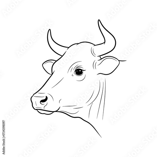 Line art of a cow's head in minimal style on white background  