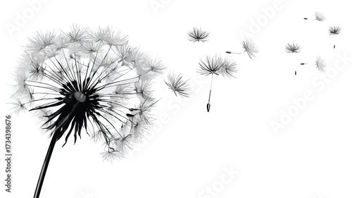 Blow Dandelion Vector Illustration: Elegant Delicate Floral Artwork with Seeds in Wind