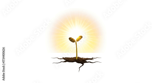 A small plant sprouts from cracked earth, bathed in the warm glow of the sun