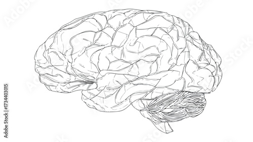 Continuous Line Vector Brain Illustration for Creative Designs
