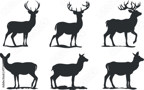 Collection of deer silhouettes showcasing various poses and types in a minimalist style..