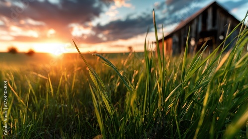 A breathtaking sunset paints the sky above a lush grass field, turning it into a canvas of colors, with a rustic barn in the distance, symbolizing tranquility and rural beauty.