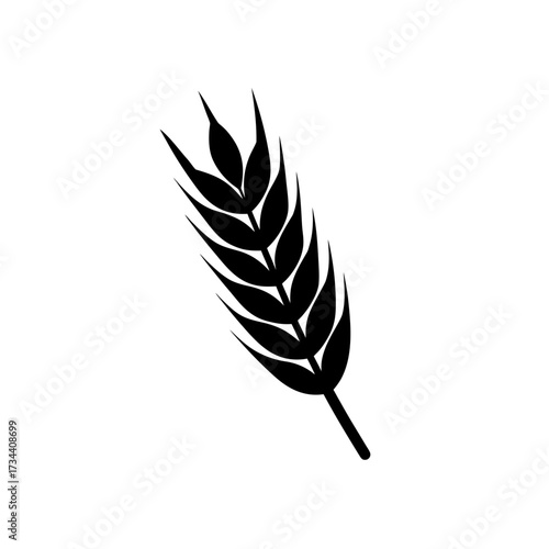 ear of wheat  barley or rye  vector icon isolated