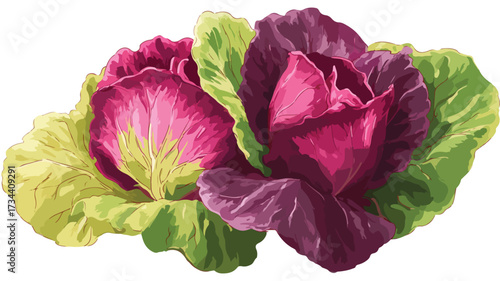 Vibrant Lettuce Flat Vector Illustration for Fresh Food Concepts