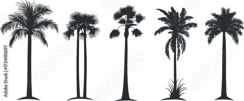 A collection of palm tree silhouettes showcasing various shapes and heights ideal for tropical themes..
