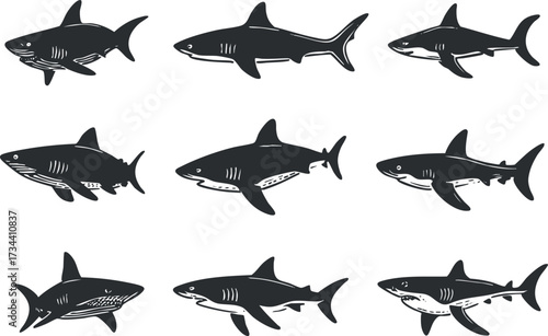 A collection of black shark illustrations showcasing different species and poses for educational purposes..