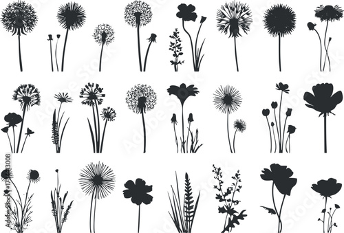 A collection of various flower silhouettes in black and white ideal for design and decoration..