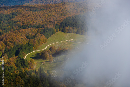 Cansiglio plateau
