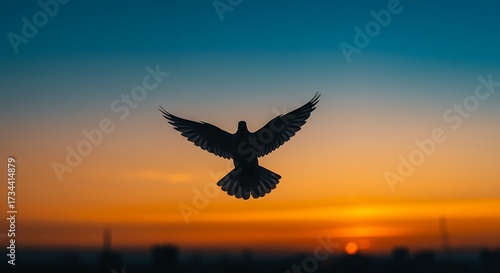 Silhouette of a bird soaring against a sunset sky