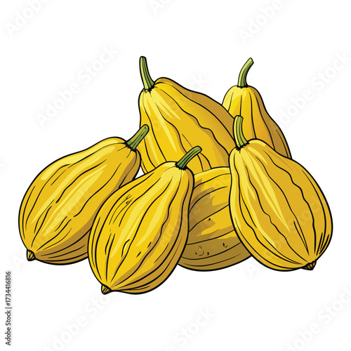 Pile of yellow squash, a versatile summer vegetable