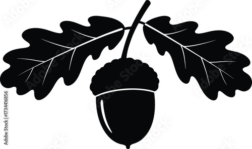 Vector acorn and oak leaves illustration scalable graphic eps icon for nature design
