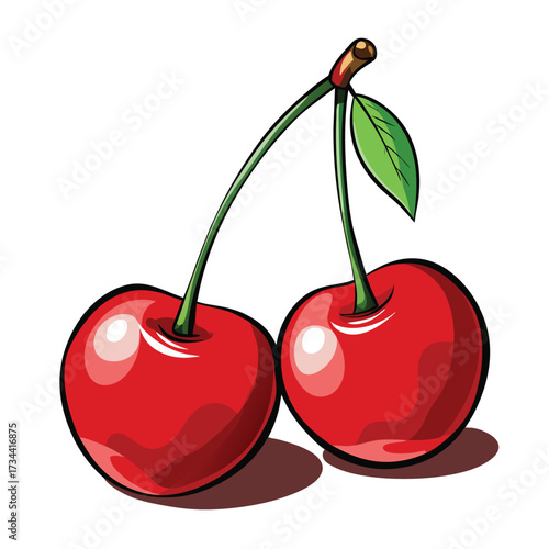 Illustration of two cherries with stem