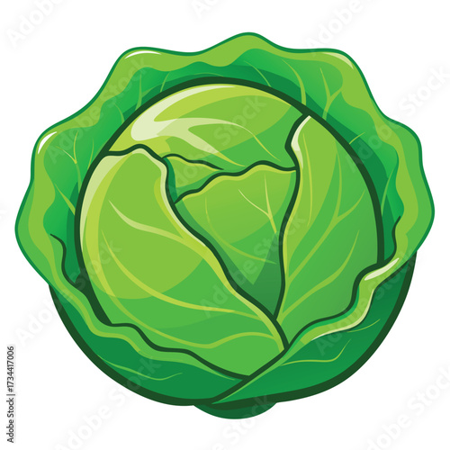 Cartoon illustration of a green cabbage
