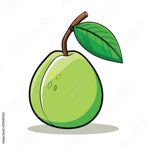 Illustration of a green guava fruit with leaf