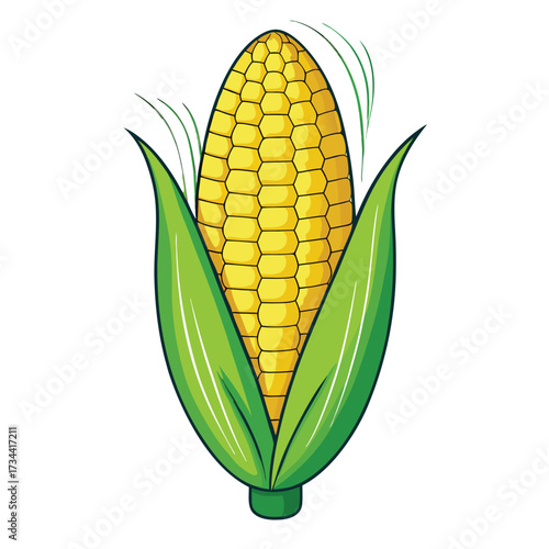 Illustration of a yellow corn on the cob
