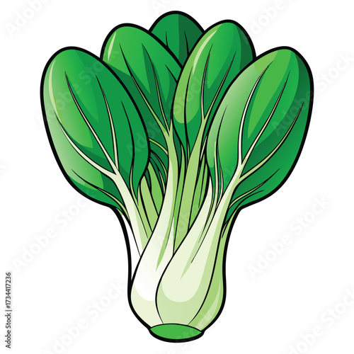Fresh bok choy, a nutritious leafy vegetable