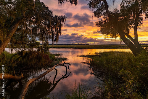 Beautiful sunset over a serene river with trees and grasses at dusk in a tranquil natural setting
