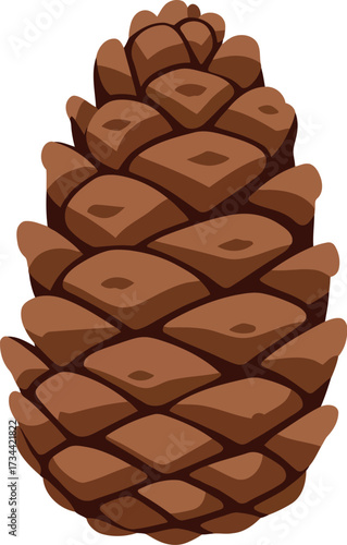 Detailed pine cone isolated natural forest element vector