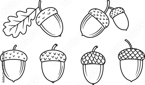 Hand drawn acorn vector illustrations featuring oak leaves scalable eps graphics