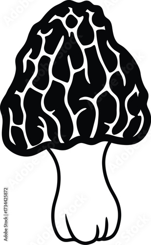 Morel mushroom vector illustration scalable eps icon for nature designs
