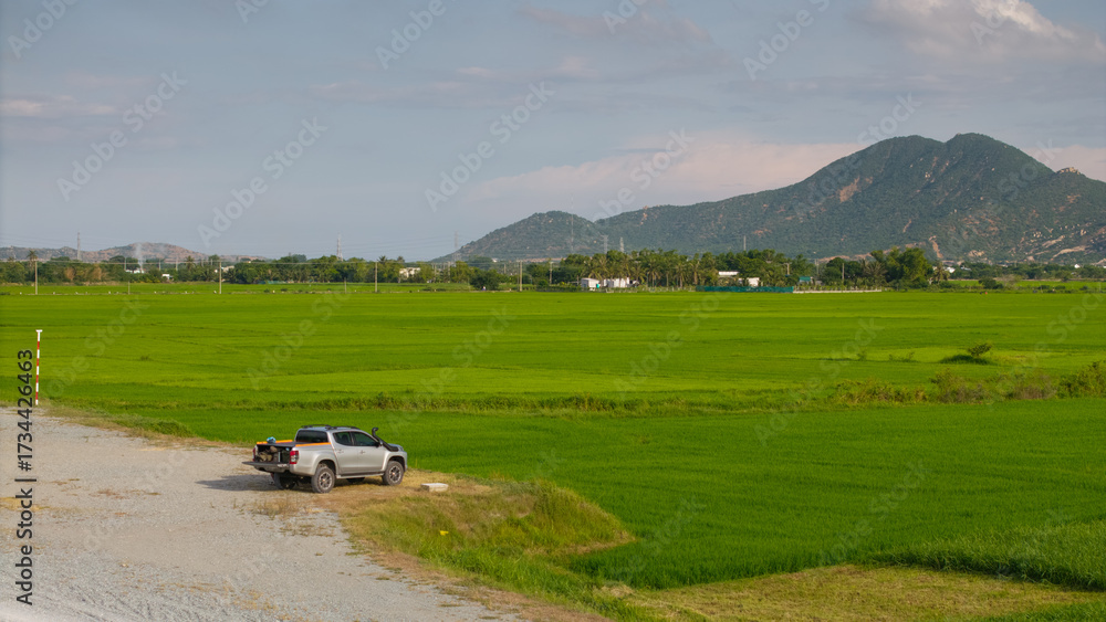 Fototapeta premium Pickup car on road with green rice fields with wind turbines in rural Vietnam. Royalty high-quality free best stock of renewable energy and farming landscape, sustainable electricity, nature