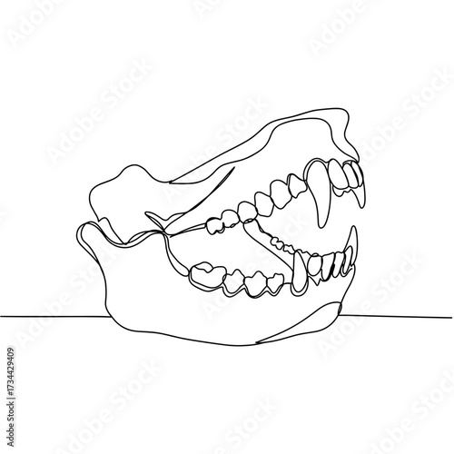 Line art illustration of a jawbone with teeth in profile view  