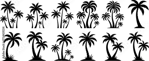Tropical palm trees set silhouettes isolated on white background, different natural varieties of trees, black palm tree shapes collection