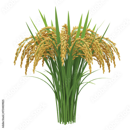A realistic 3D vector illustration of a healthy, vibrant green rice plant bundle, showcasing developing grains and lush leaves, presented clearly on a plain white background.
