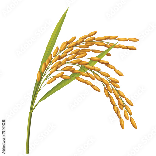 A realistic 3D vector illustration showcases a single, vibrant rice stalk with meticulously detailed grains, standing elegantly against a pristine plain white background.