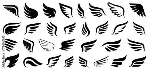 wing silhouette vector set collection