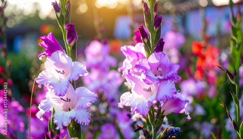 Vibrant garden flowers in sunlight