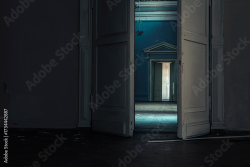 A door and a hall in a huge abandoned palace. An old door. A look through the door. A mystical abandoned palace.
