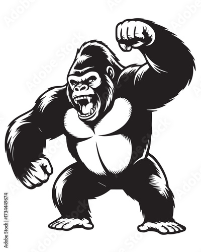 roaring gorilla illustration vector dynamic fierce primate design for poster badge and esports