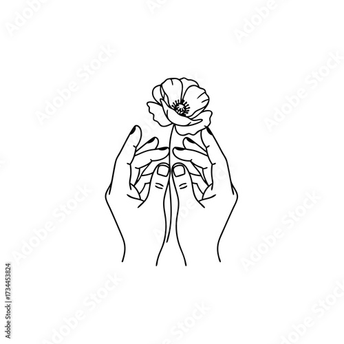 A delicate poppy held by gentle hands, symbolizing Remembrance Day, memorial, ceremony, and veterans' sacrifice