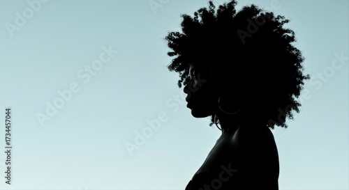Striking silhouette of a woman with afro hair against a gradient sky background
