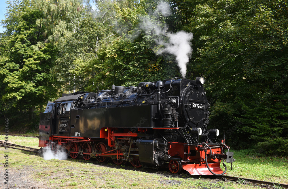 Obraz premium Dampflok der Harzer Schmalspurbahn 