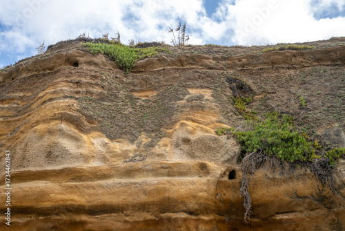 Coastal cliff of Santa Barbara Beach in the Azores with visible geological strata and vegetation growing on its slopes