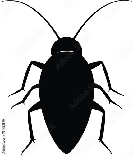  a cockroach viewed from above against a stark