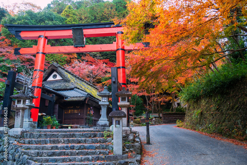 Obraz na plátně Torii gate of Atago Shrine at Saga Toriimoto street in fall, arashiyama