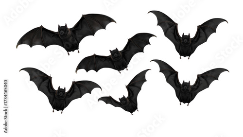 Majestic Flight of Bats in Motion