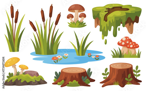 Cartoon forest elements set with mushrooms, stumps and pond