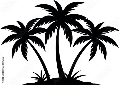 tropical palm tree silhouette vector, palm tree black symbol