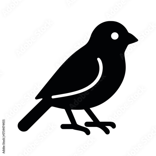 Monochrome silhouette of a bird with long beak and tail