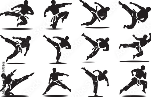 Karate kick silhouette vector on white background