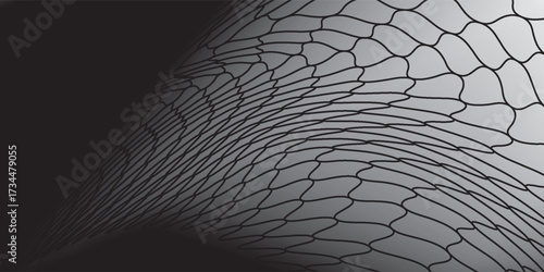 Mesh texture for fishing nets. Eps 10