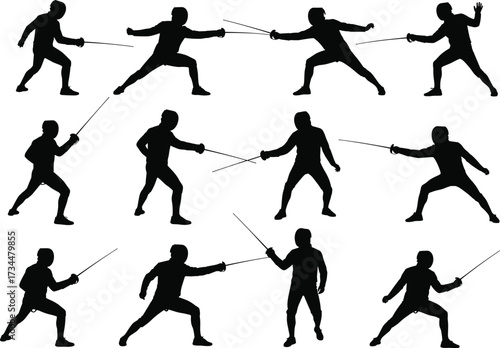 Fencing, Sword, Duel, Combat, Sport, Athlete, Silhouette, Action, Motion, Strike, Parry, Lunge, Contest, Training, Competition, Exercise, Martial, Skill, Technique, Performance