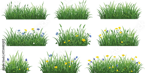Collection of grass and wildflower illustrations showing natural green patches with seasonal variations, floral details, and landscaping design elements