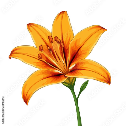 Bright orange tiger lily with yellow accents, a beautiful flower in nature for a vibrant summer garden